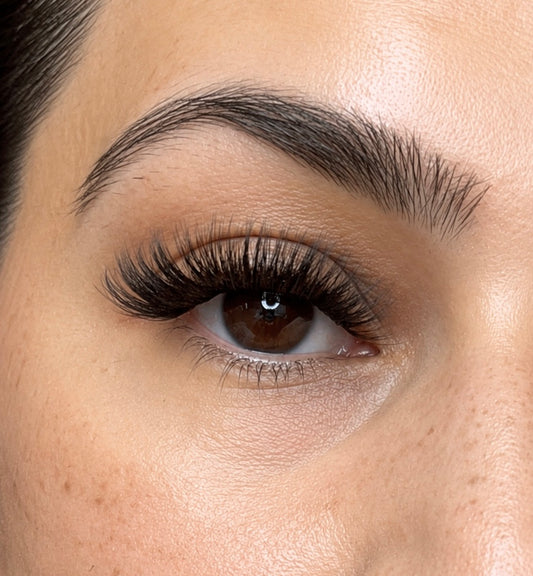 RUNWAY READY - Full Volume Pre-glued Cluster Lashes