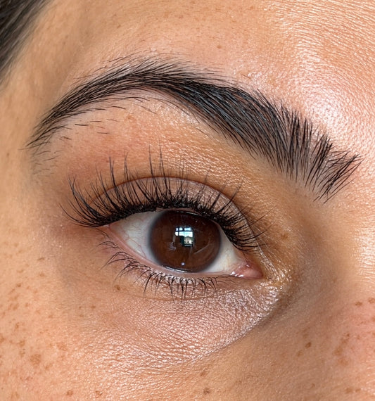 LAYOVER LUXE - Natural Soft Wispy Pre-glued Cluster Lashes
