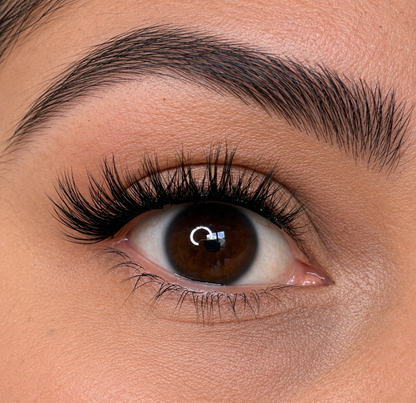 ON BOARD OBSESSION - Wispy Spikey Volume Pre-glued Half-to- Full Lashes